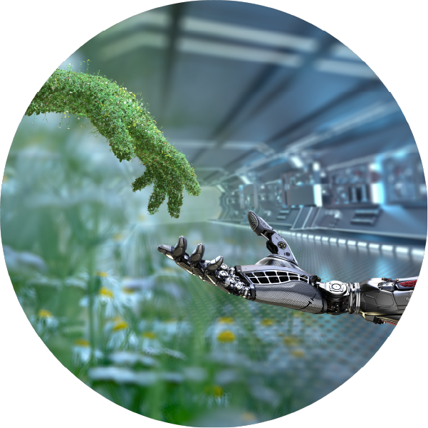 Transizione digitale e green